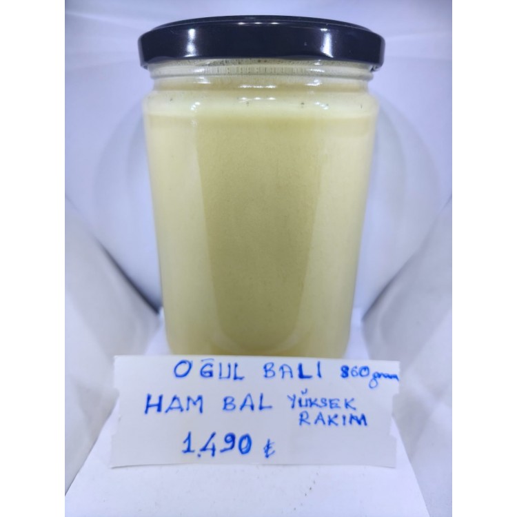 Yüksek Rakım  Deli Bal  440 Gr.