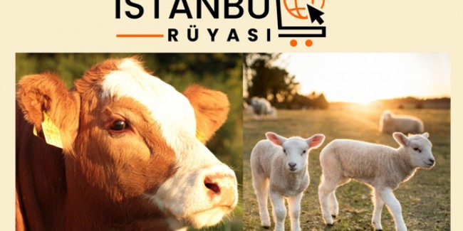 2025 Yılı Kurbanlık Dana Kuzu Koç Satışları