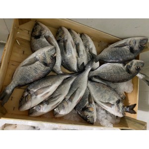 Bream 3 / 4 Bream 3 / 4