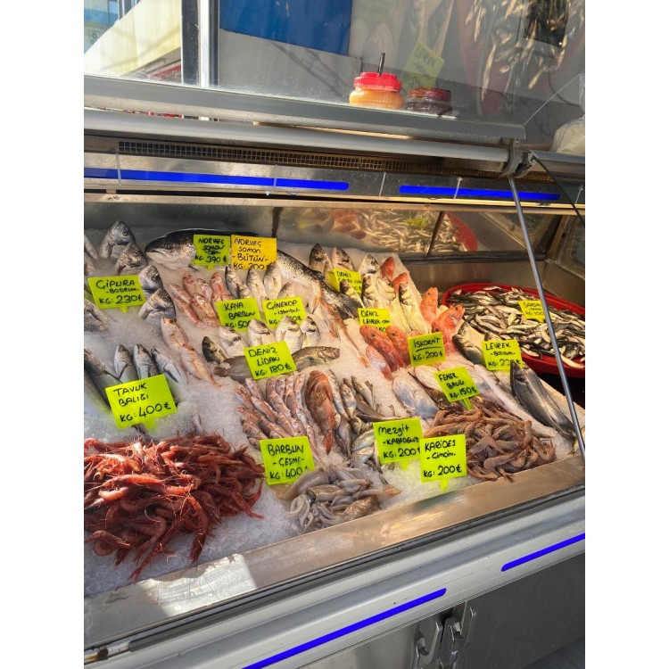 Panga fillet kg
