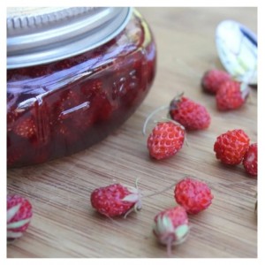 Mountain Strawberry Jam 290 gr Mountain Strawberry Jam 290 gr