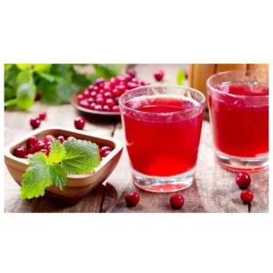 Gilaburu Nektarı 500 cc Gilaburu Nektarı 500 cc
