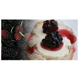 Black Mulberry Jam 290 gr Black Mulberry Jam 290 gr