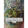 St. John's Wort Oil Bottle 200 Grams