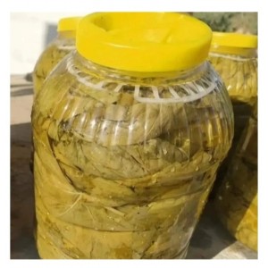 Asma Salamura Yaprak 5 Lt Asma Salamura Yaprak 5 Lt